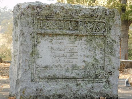 [Picture of Taylor family graves]